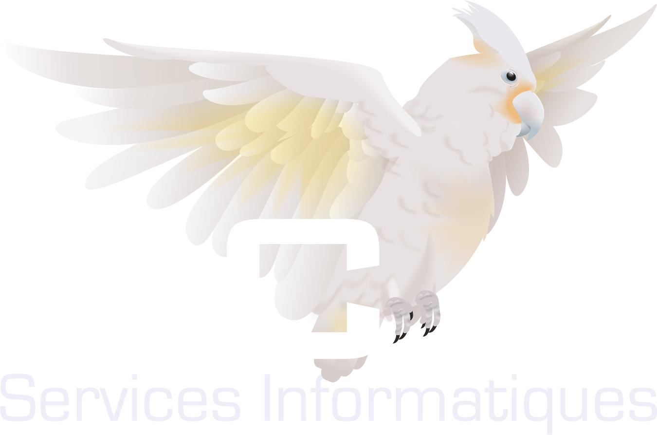 RCS Informatique logo